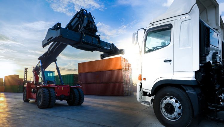 4 Awesome Tips for Moving Long Distances with Plants